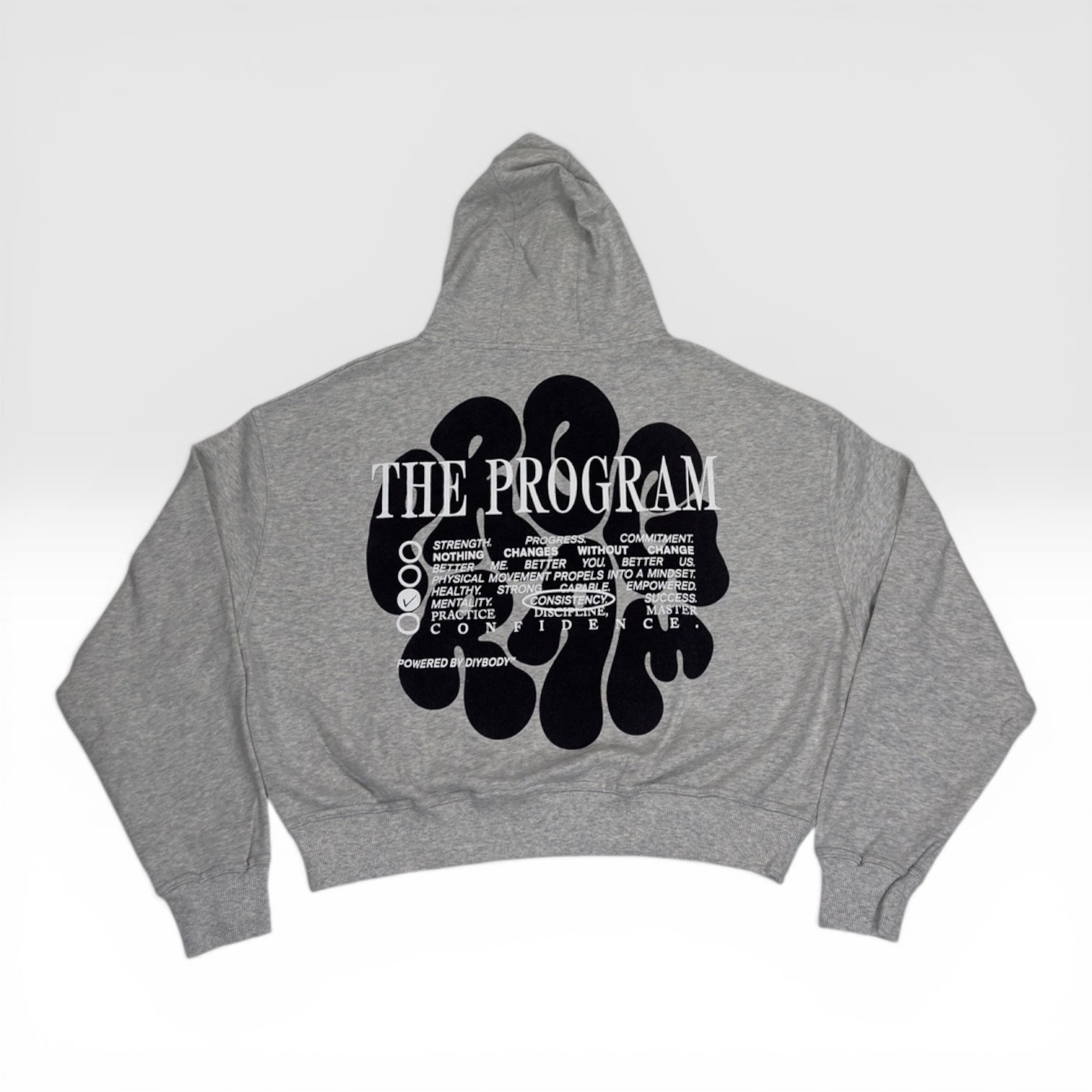 The Program Hoodie