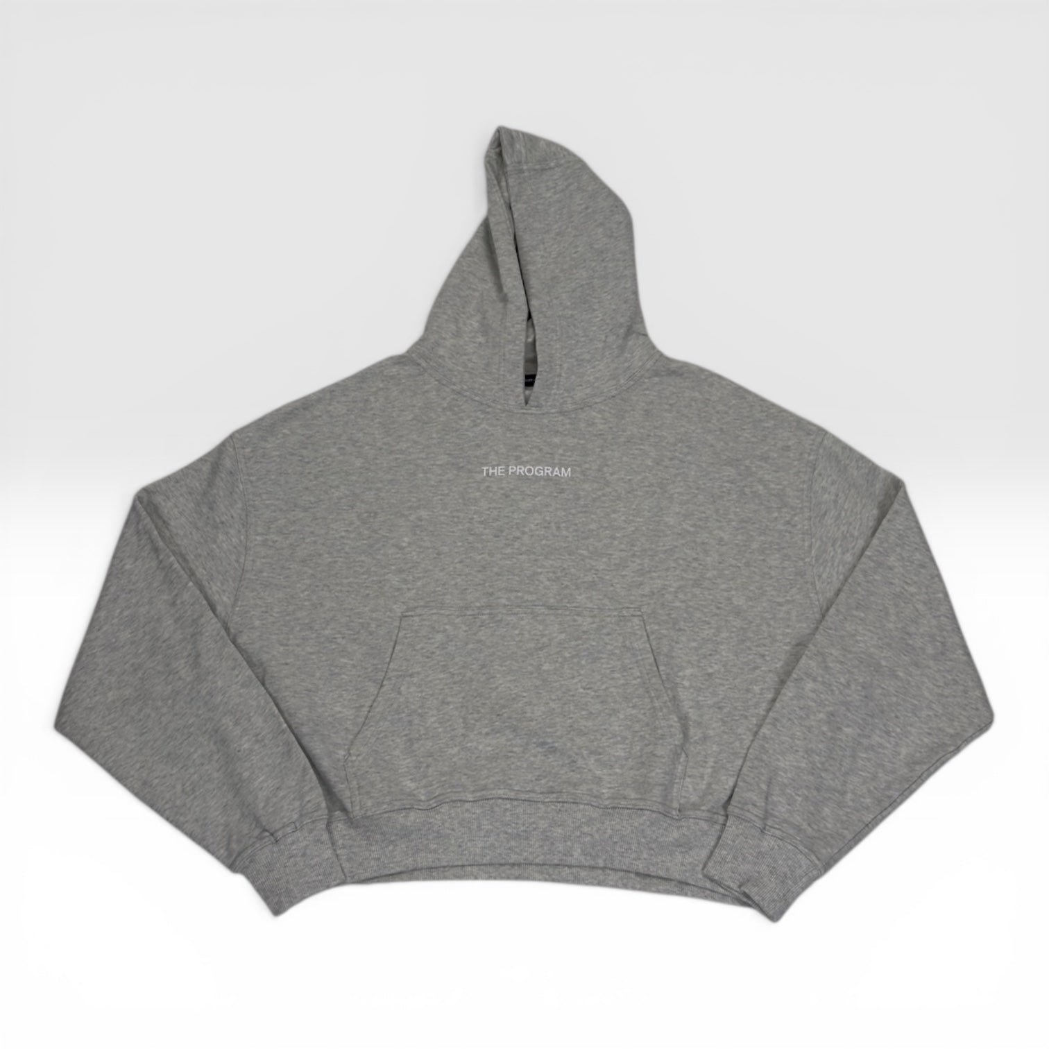 The Program Hoodie