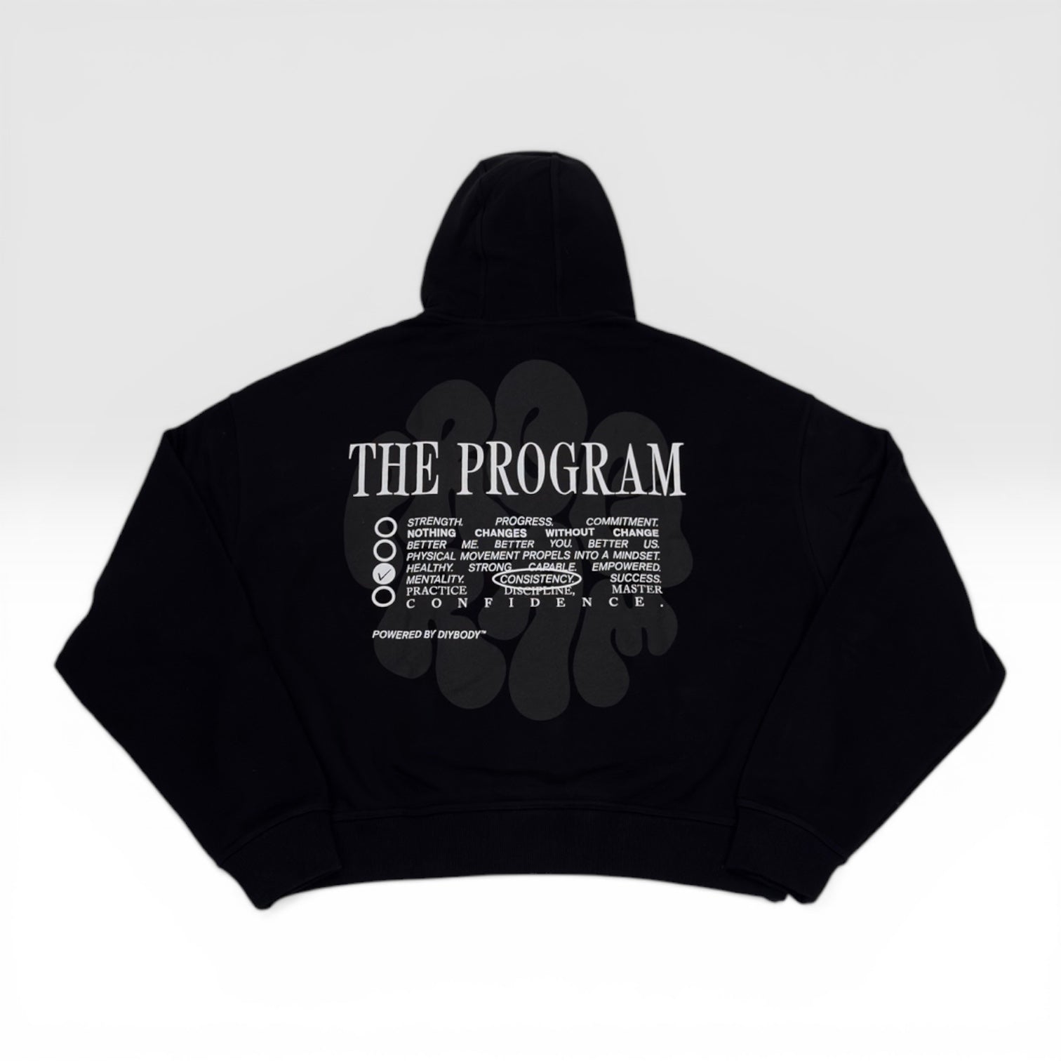 The Program Hoodie